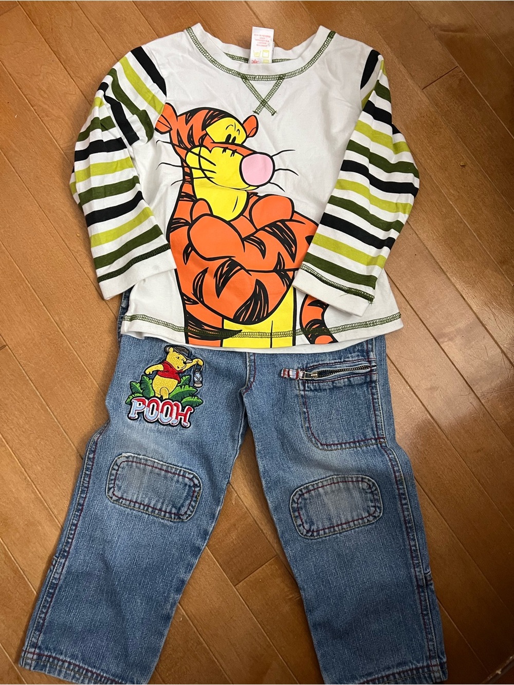 Disney Winnie the Pooh (size 3X)